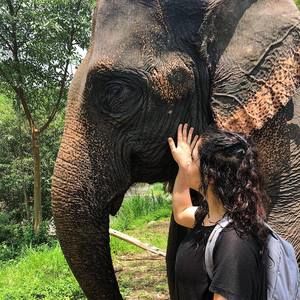 Meet your Posher, Rachel